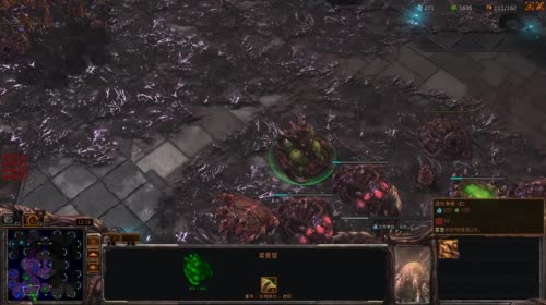 风暴区播星际争霸 2017-04-16 22点场