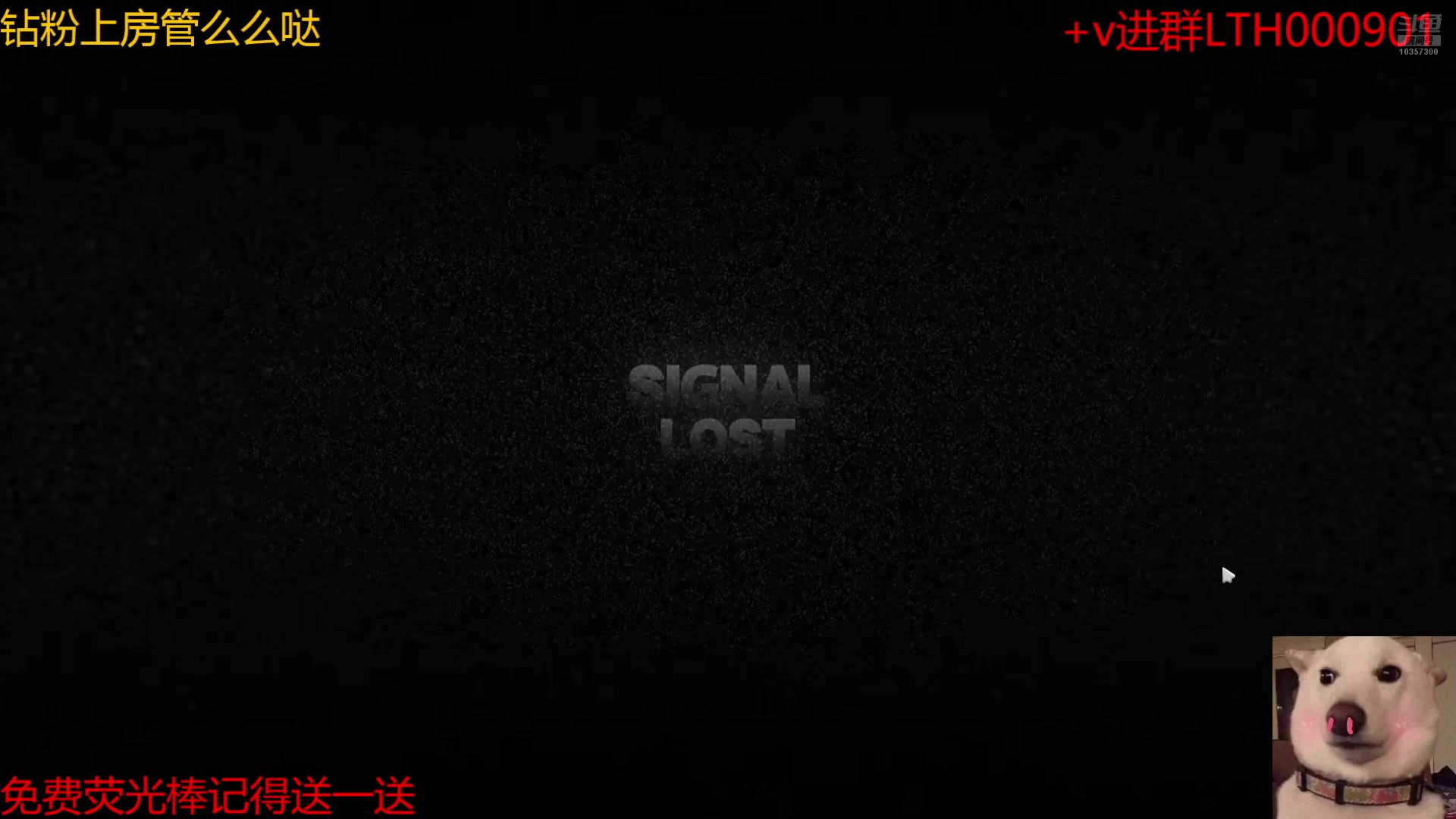 【2024-07-20 11点场】是猫咪吖丶：绝区零来咯  么么哒