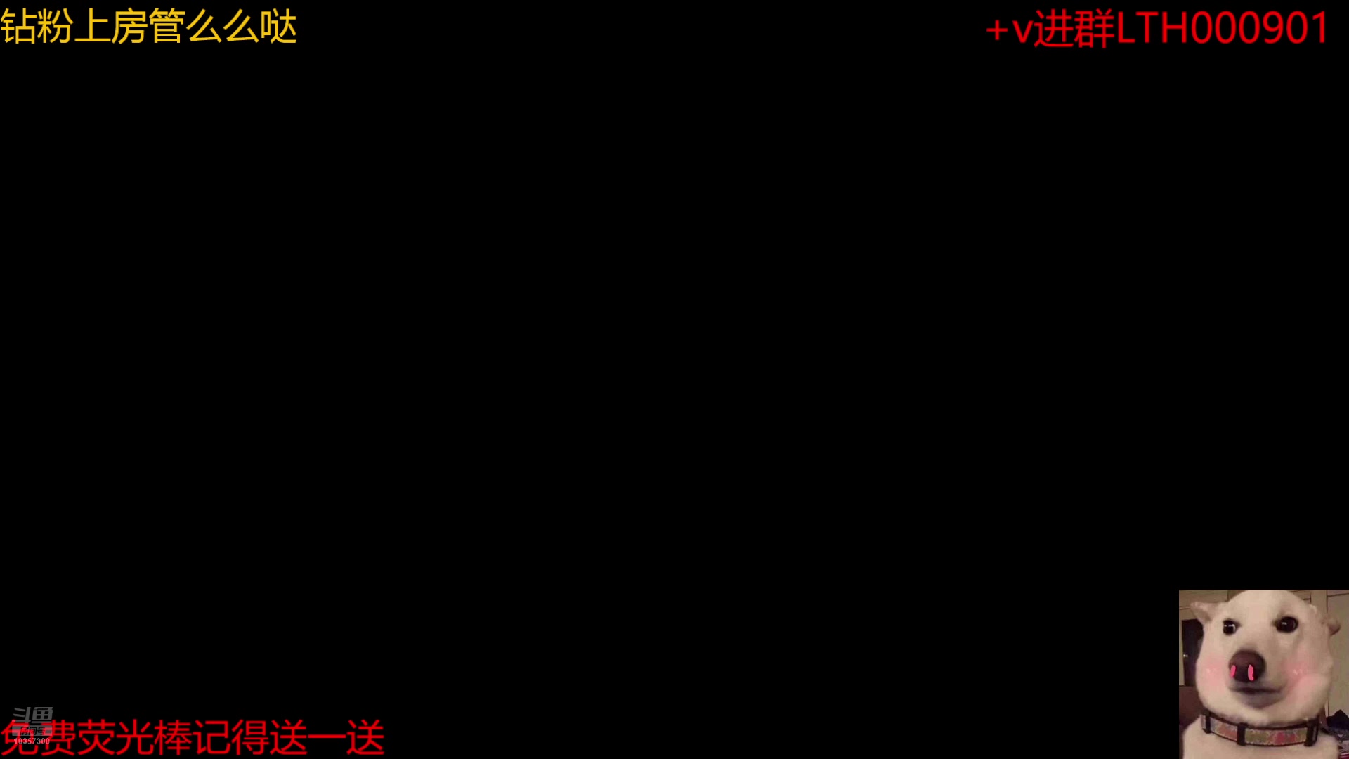 【2024-07-24 18点场】是猫咪吖丶：绝区零来咯 么么哒