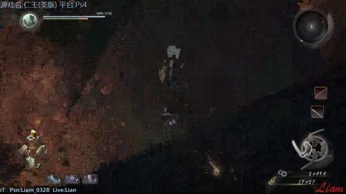 Liam:【仁王】美版开荒 part 7