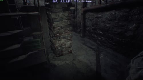 生化危机初体验