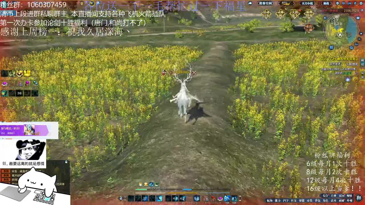 【2021-01-01 22点场】是猫久啊：猫久：元旦快乐鸭