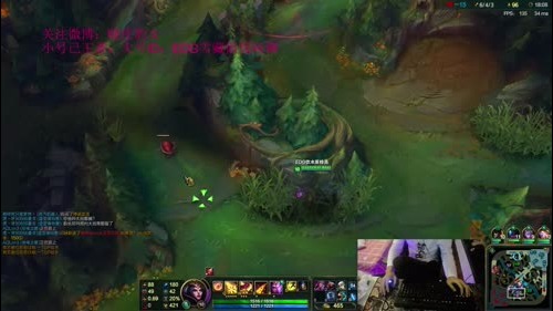 国服第一王者豹女，我的坐姿掌控一切！ 2017-01-06 01点场