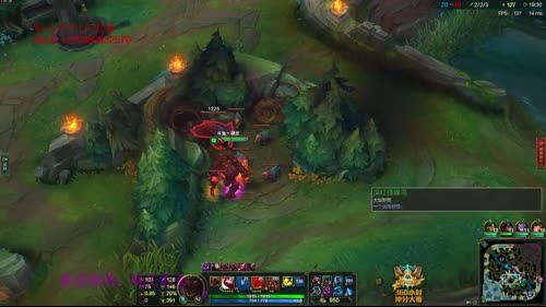 晓庄打野豹女，国服王者前十必有我一席之地 2017-02-28 17点场