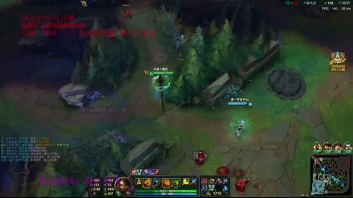 晓庄打野豹女，没上前十我是很高冷不说话的 2017-03-04 11点场