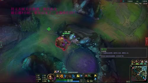 国服唯一的王者豹女需要得到你们的呵护 2017-01-22 17点场