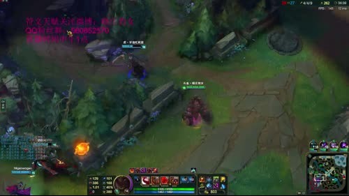 国服第一豹女，这个豹女很独家！ 2017-02-21 13点场