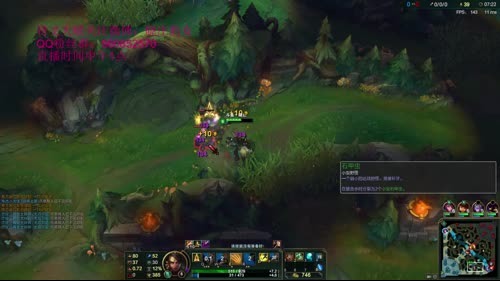 国服第一豹女，这次醒来没上王者不睡觉！ 2017-02-18 03点场