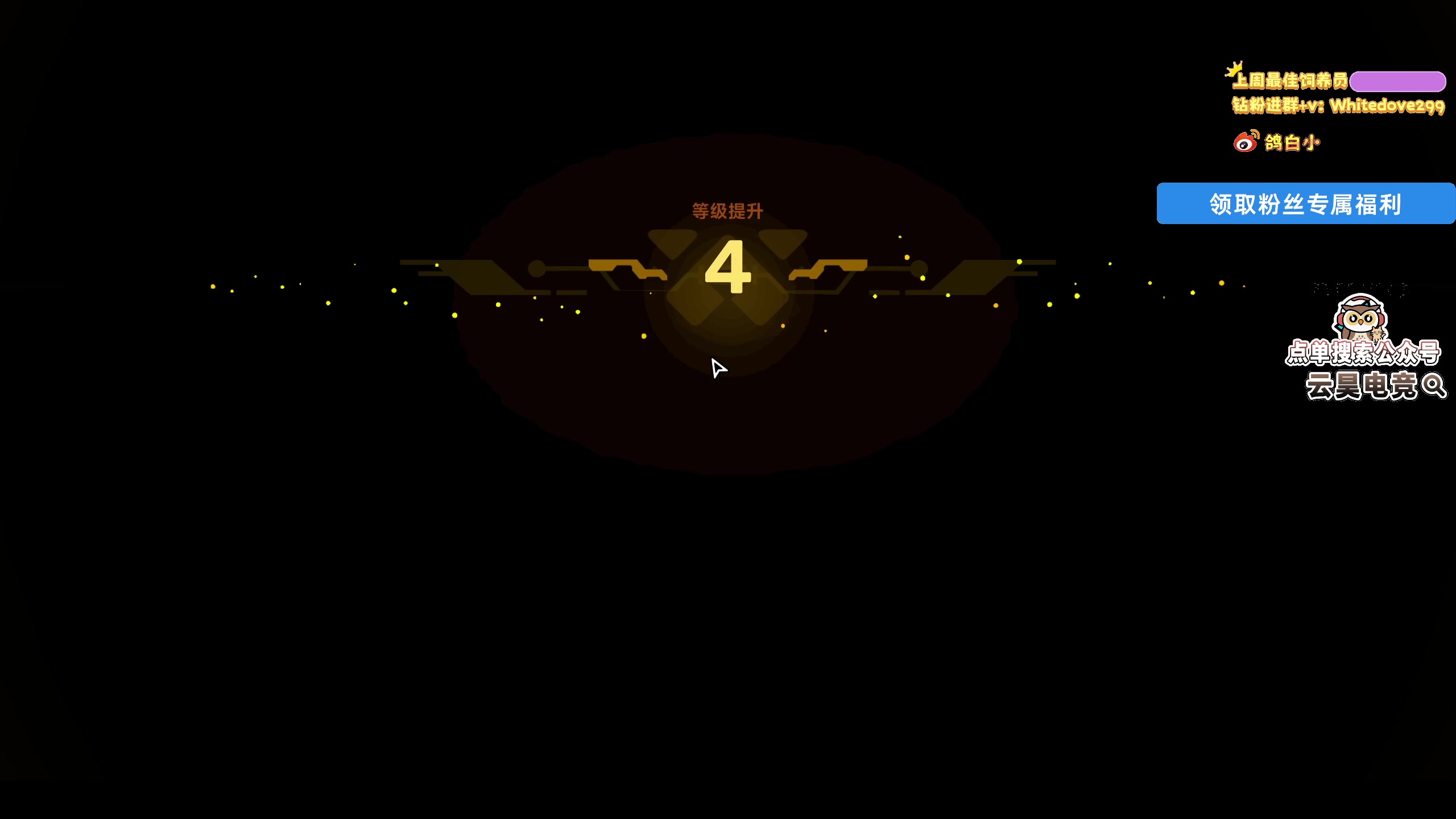 【2025-07-17 21点场】小白鸽WhiteDove：【小白鸽】八点霓虹深渊2！