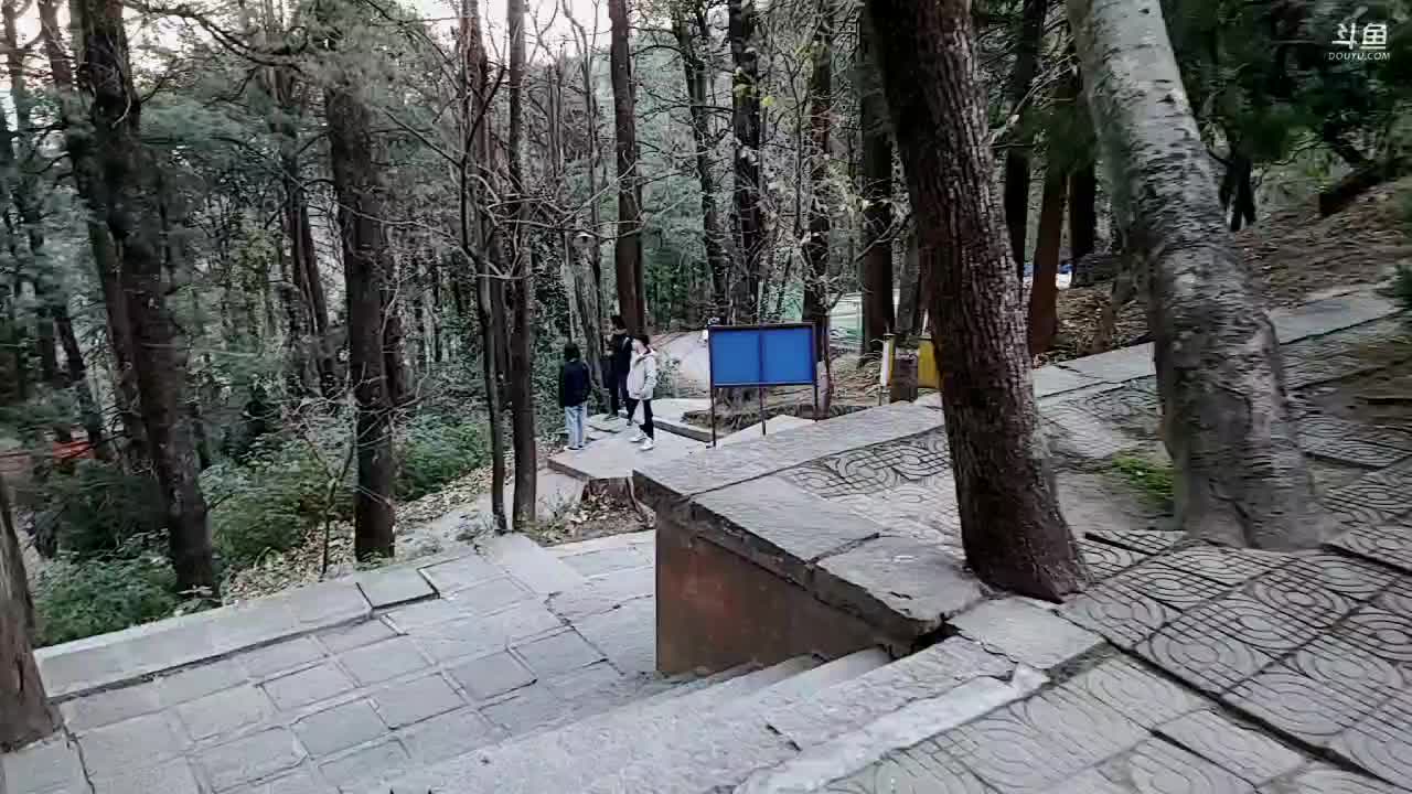 【2021-01-01 17点场】叶子户外：元旦快乐，今晚见