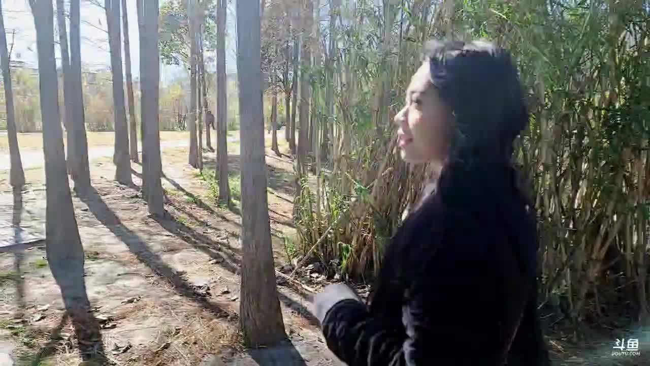 【2021-01-04 12点场】叶子户外：在大理，4号飞拉萨走317