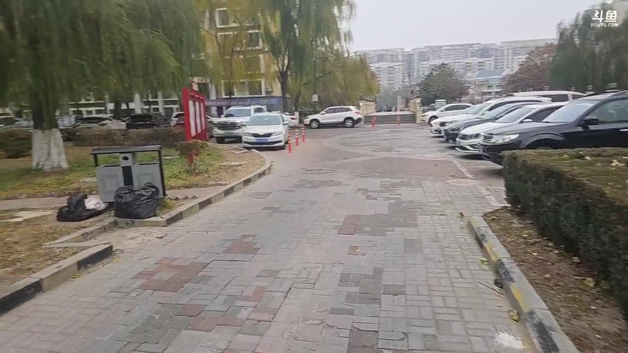 【2025-11-05 13点场】黑欢喜：看看大学生活【4倍亲密】