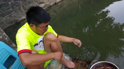 水陆双绝，龙虾斗牛！ 2017-05-19 15点场