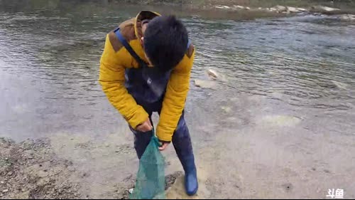 魅力：收地笼，抓水蜂子 2017-02-10 12点场