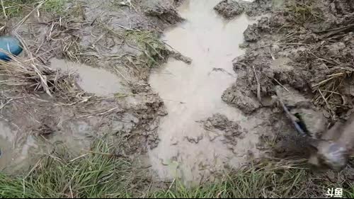 魅力：清汤水蜂子，腊肉炖黄鳝 2017-02-10 14点场