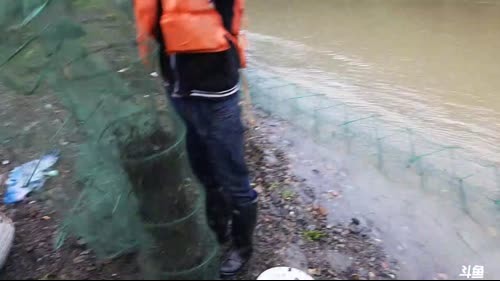 洪水之中收地笼，鱼儿多 2017-04-10 14点场