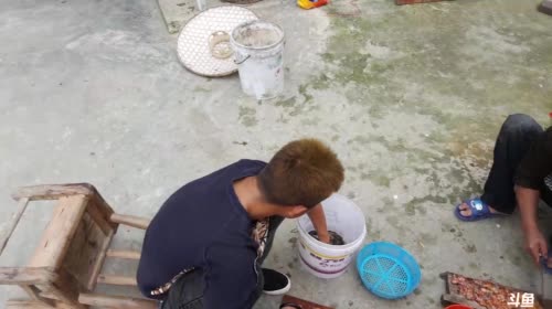 涨水的鱼，退水的虾，爆笼的笼 2017-04-17 14点场