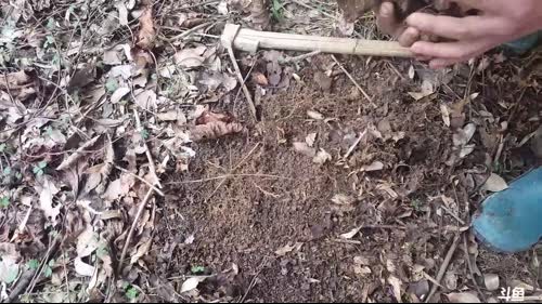 久违的水库生活。 2017-02-09 14点场