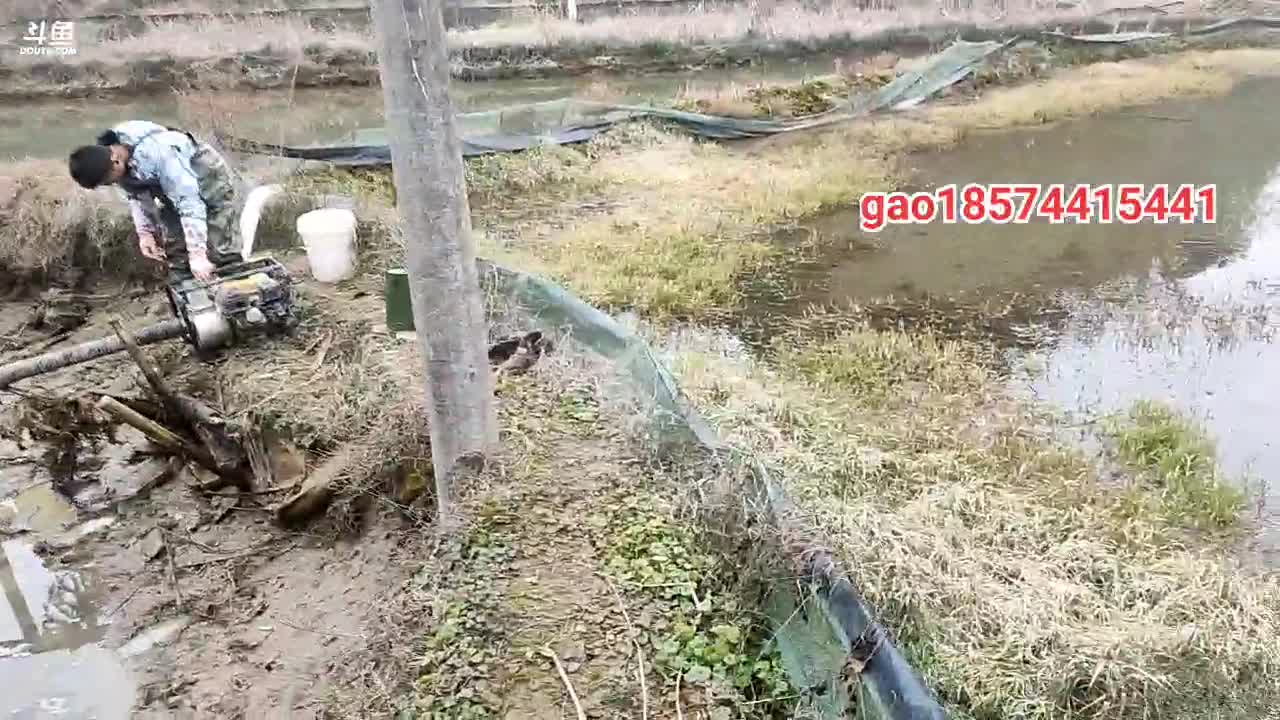 【2021-01-03 10点场】魅力生活i：今天干个塘玩玩