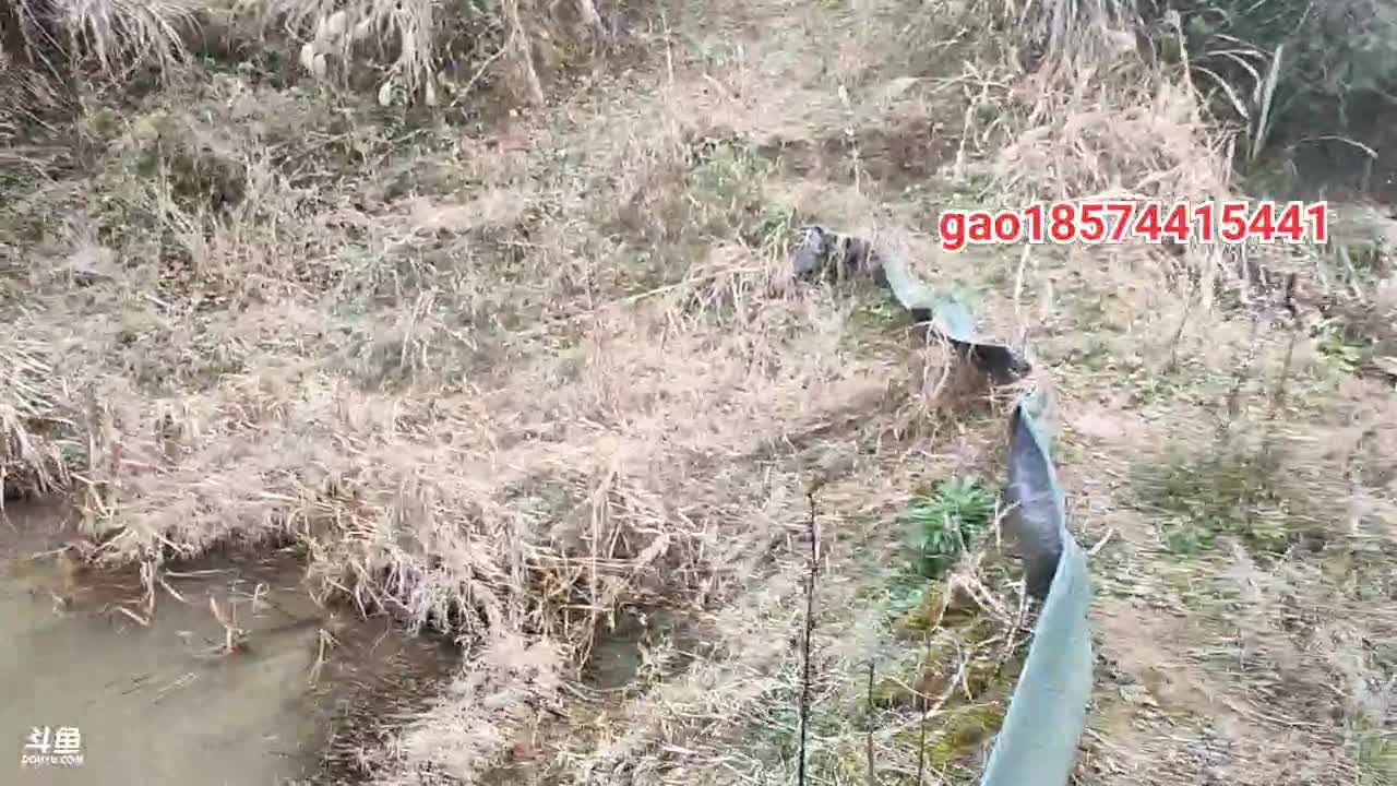 【2021-01-03 14点场】魅力生活i：今天干个塘玩玩