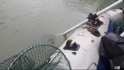 狂风暴雨，地笼依旧，已上大甲鱼。 2017-04-09 12点场