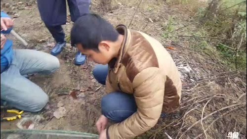 干个干爹的塘，咱们发个小财 2017-01-10 10点场