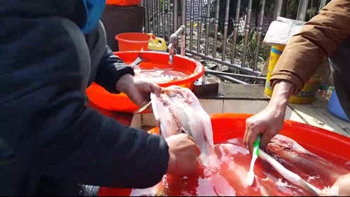 起早奋斗，发家致富。 2017-02-27 10点场