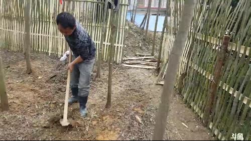 起早奋斗，发家致富。 2017-02-27 12点场