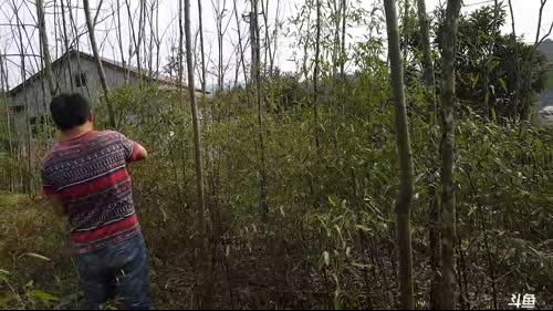 起早奋斗，发家致富。 2017-02-27 14点场