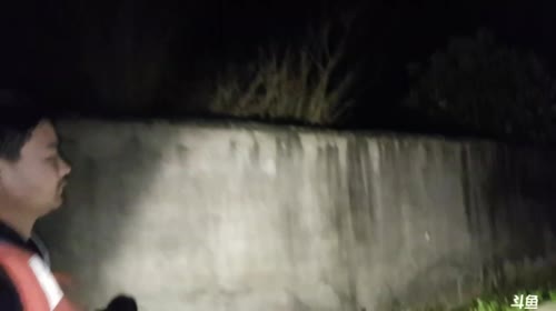 夜晚放毒真的好吗？ 2017-04-18 21点场