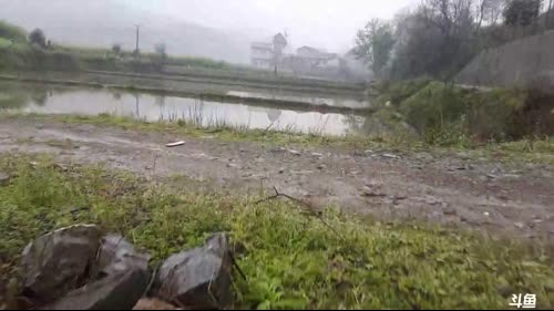 收鳝鱼地笼勒。 2017-03-30 12点场