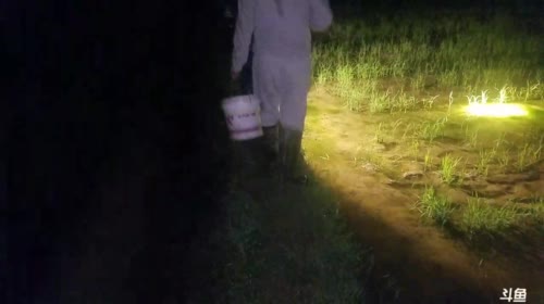 寻找宵夜食材：龙虾鳝鱼。 2017-05-07 20点场