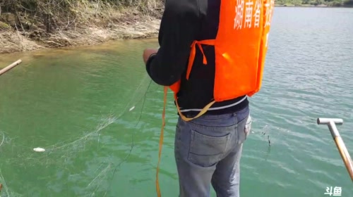 收网收网。收笼收笼。 2017-05-04 11点场