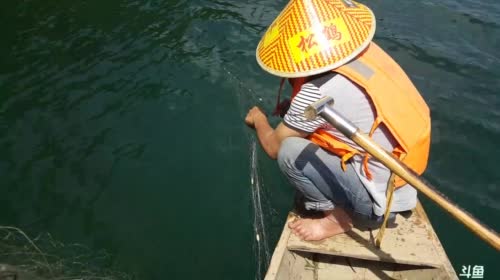 收网收网。收笼收笼。 2017-05-04 13点场