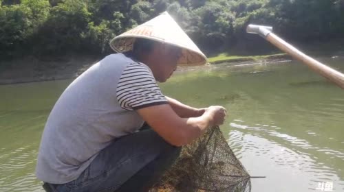 收笼抓龙虾 2017-05-04 15点场