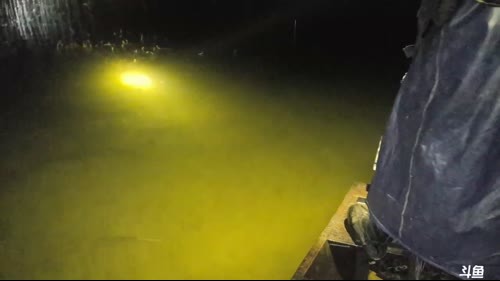 风雨无阻，水库x鱼会有惊喜嘛？ 2017-04-08 22点场