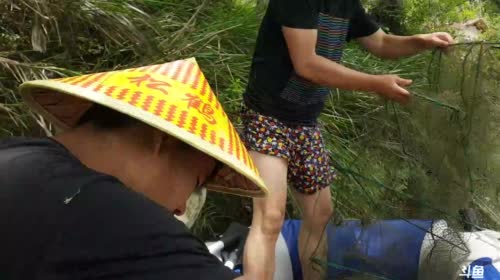 河道收地笼，鱼多多！今日能抓到甲鱼吗？ 2017-04-18 12点场