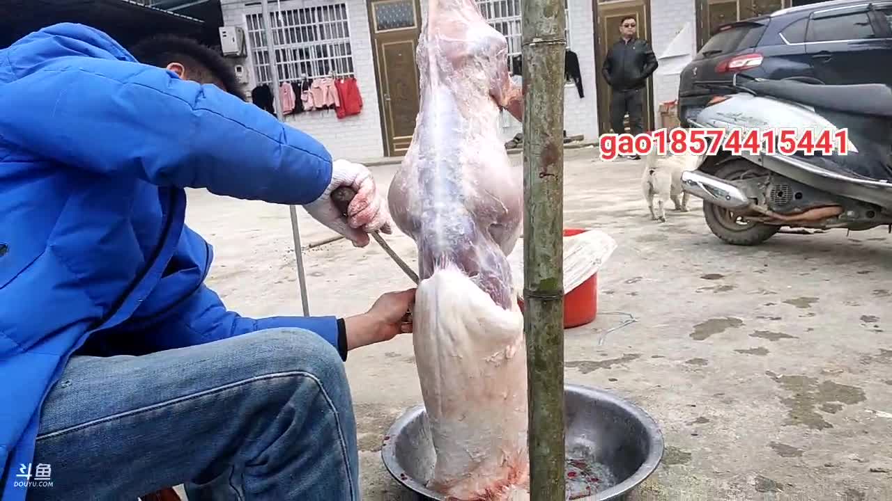 【2021-01-02 11点场】魅力生活i：今天全羊宴