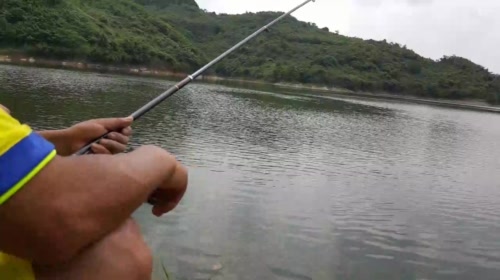 水库野钓，寻河鲜 2017-05-19 13点场