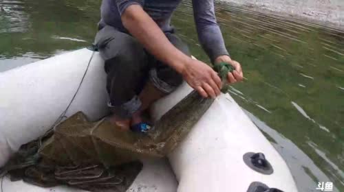 河里鱼儿多 2017-04-20 13点场