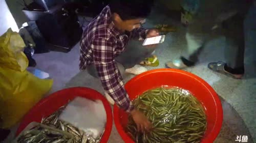 河里鱼儿多 2017-04-20 19点场