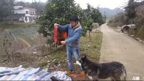 起早奋斗，发家致富。 2017-03-10 11点场