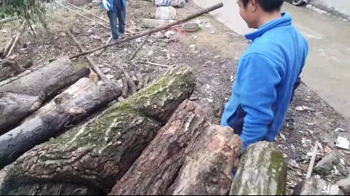 起早奋斗，发家致富。 2017-03-10 13点场