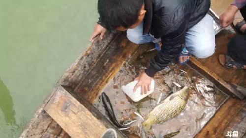 大地笼搞大货？还是空军？ 2017-04-27 11点场