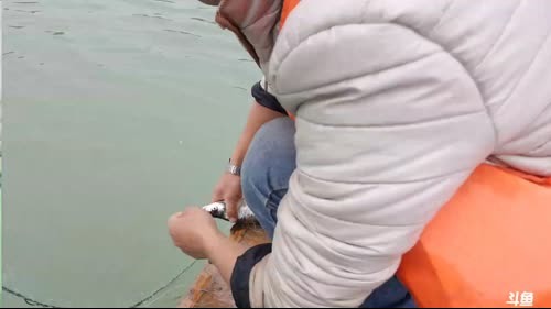 洗蚊帐我们是认真的。 2017-03-18 14点场