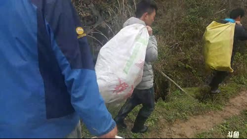 魅力：收鳝鱼笼子，抓鳝鱼咯 2017-03-21 11点场