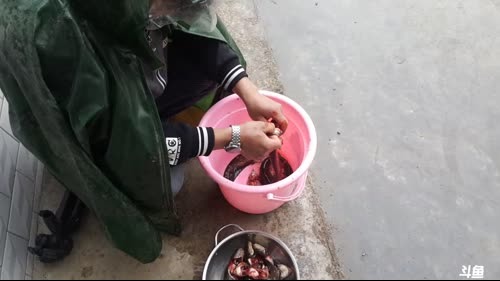 魅力：收鳝鱼笼子，抓鳝鱼咯 2017-03-21 15点场