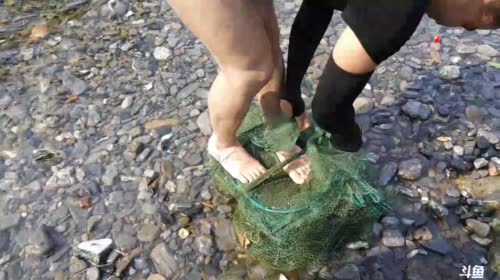 魅力：收笼收笼 2017-04-28 15点场