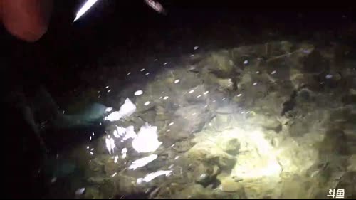 什么带大舅子扣洞？ 2017-03-07 20点场