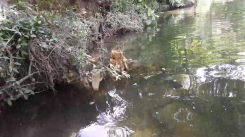 早起收笼，静等地笼大爆炸 2017-05-18 09点场